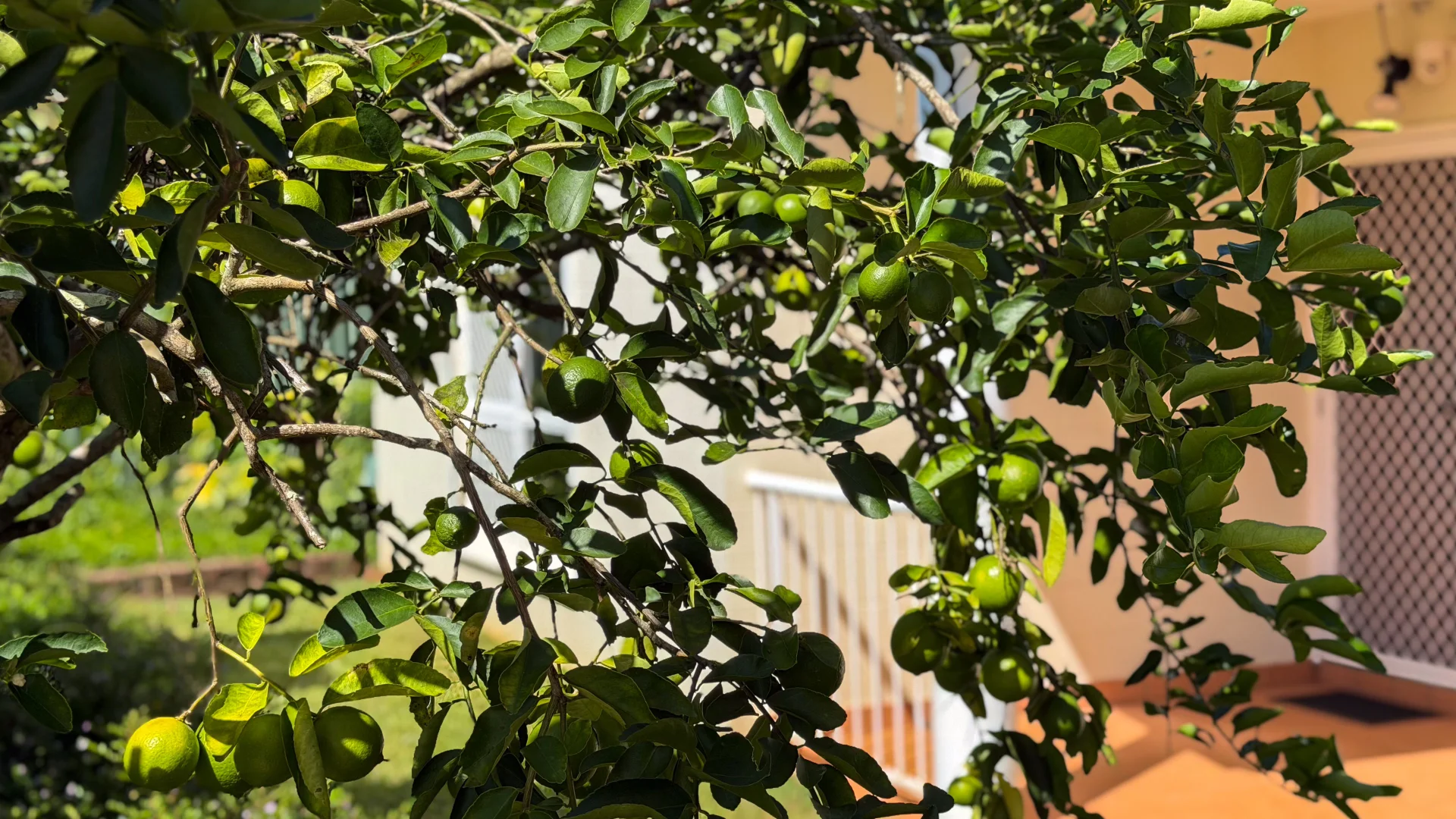 Additional image 28 of 25 Kent Cl, Mission Beach QLD 4852