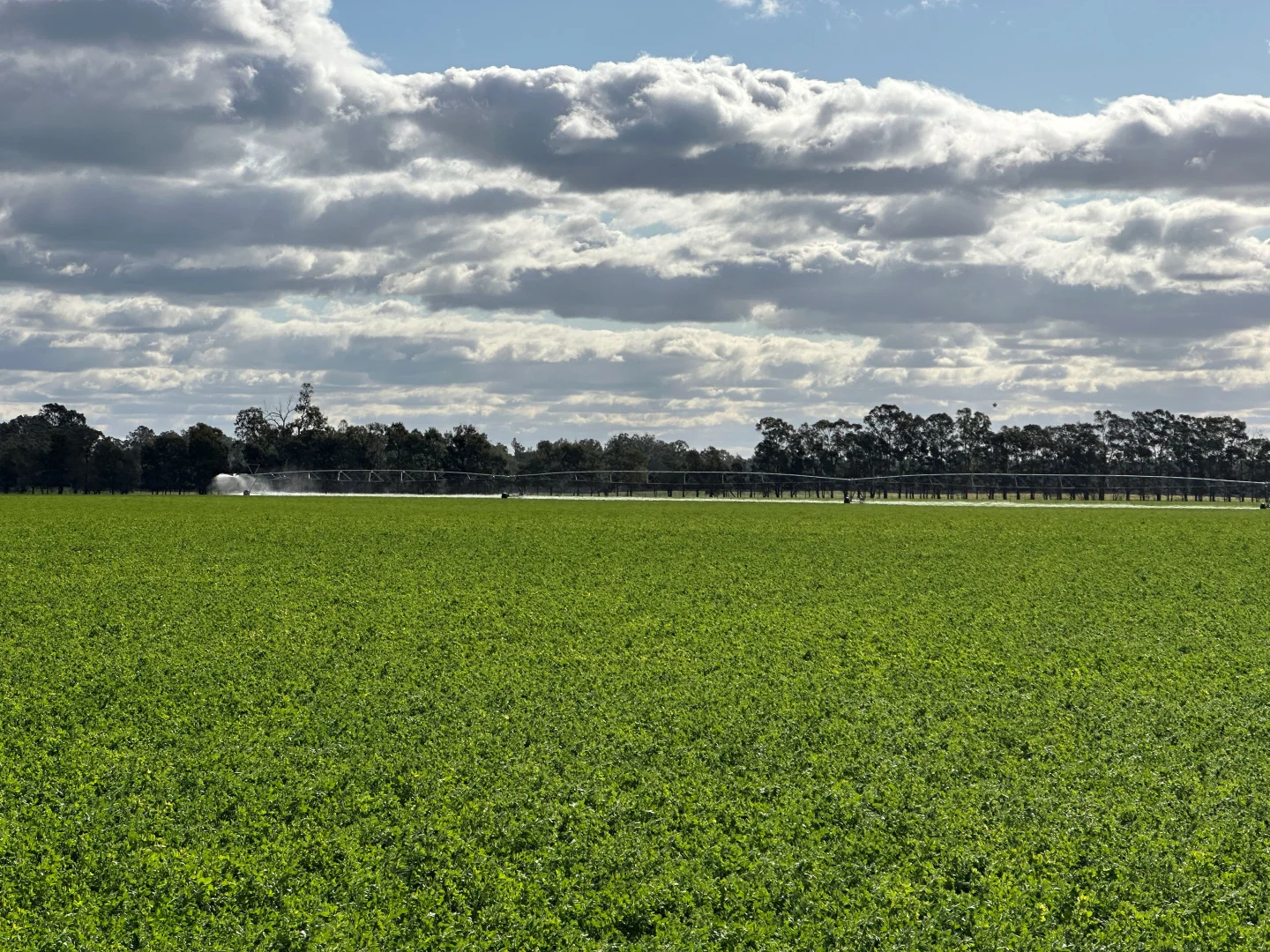 Additional image 3 of 929 Old Narrandera Road, Wagga Wagga NSW 2650