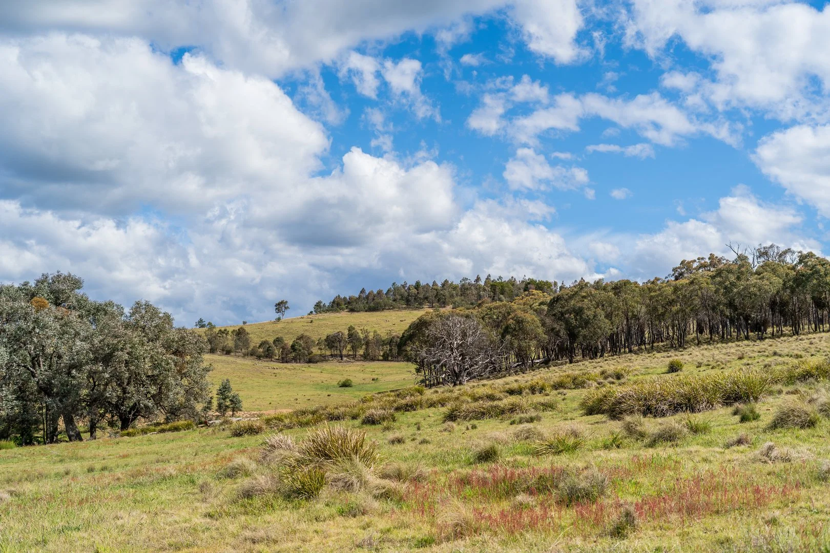 Additional image 7 of Lot 2 838 Murrumbateman Road, Nanima NSW 2582