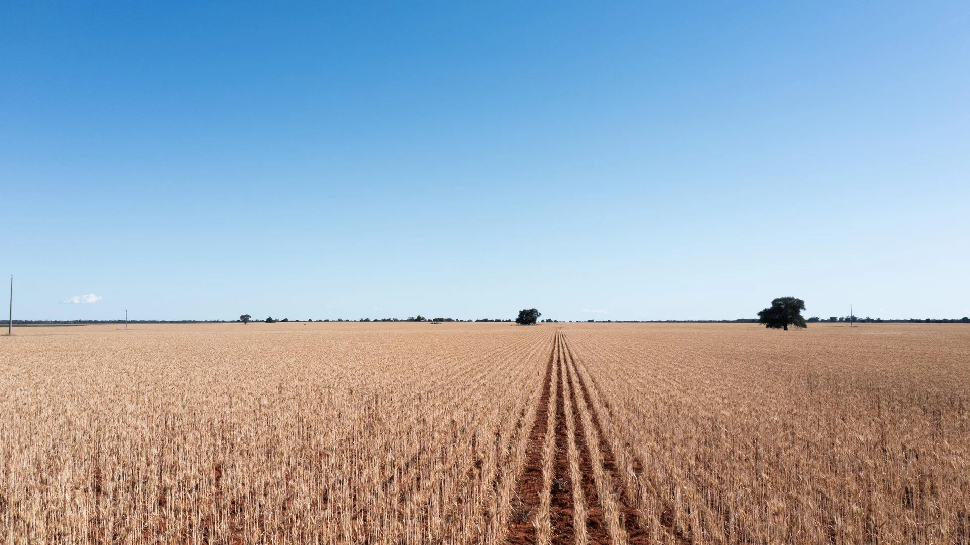 Additional image 12 of 12766 Kidman Way, Hillston NSW 2675