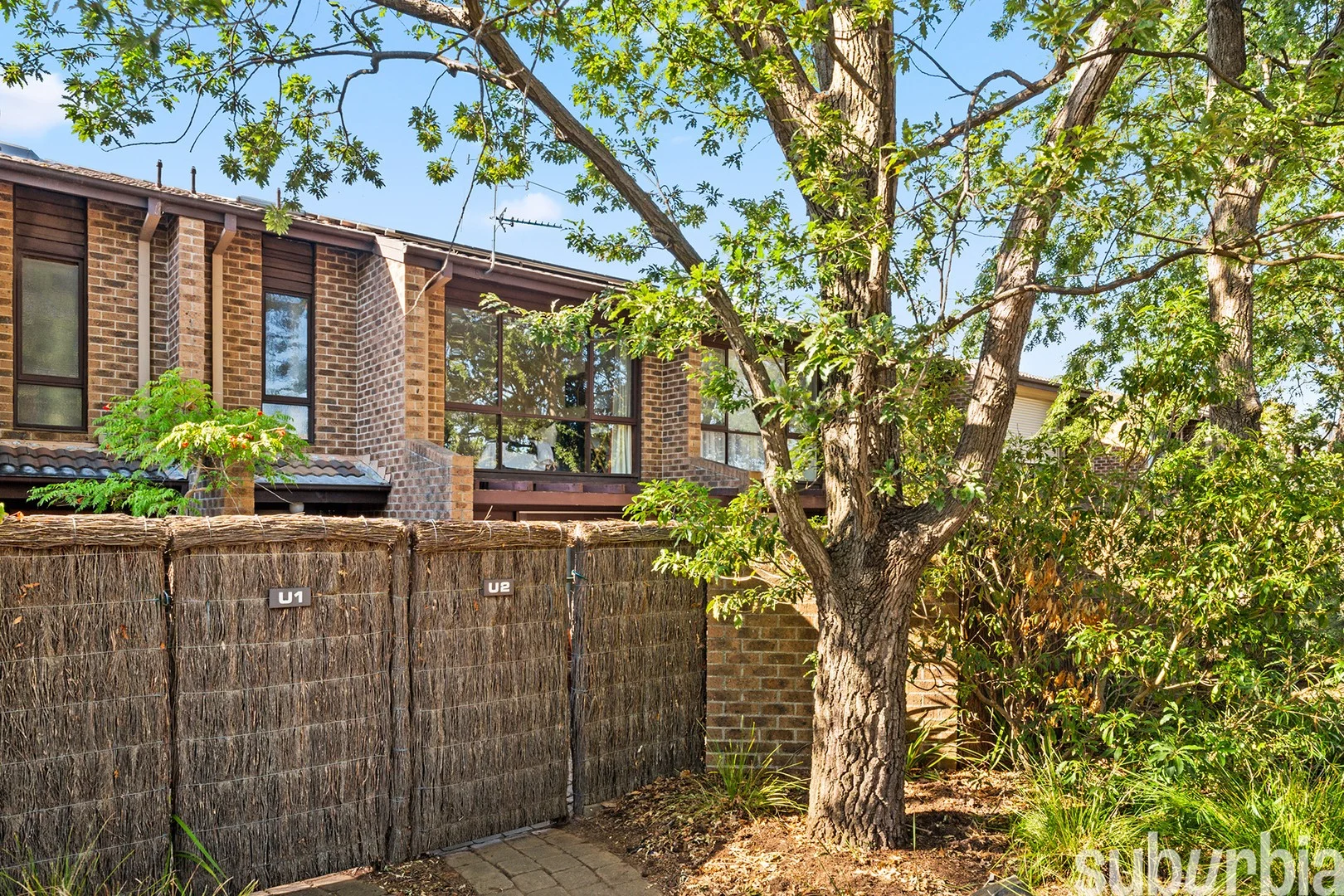 Additional image 4 of 2/53 Elimatta Street, Braddon ACT 2612