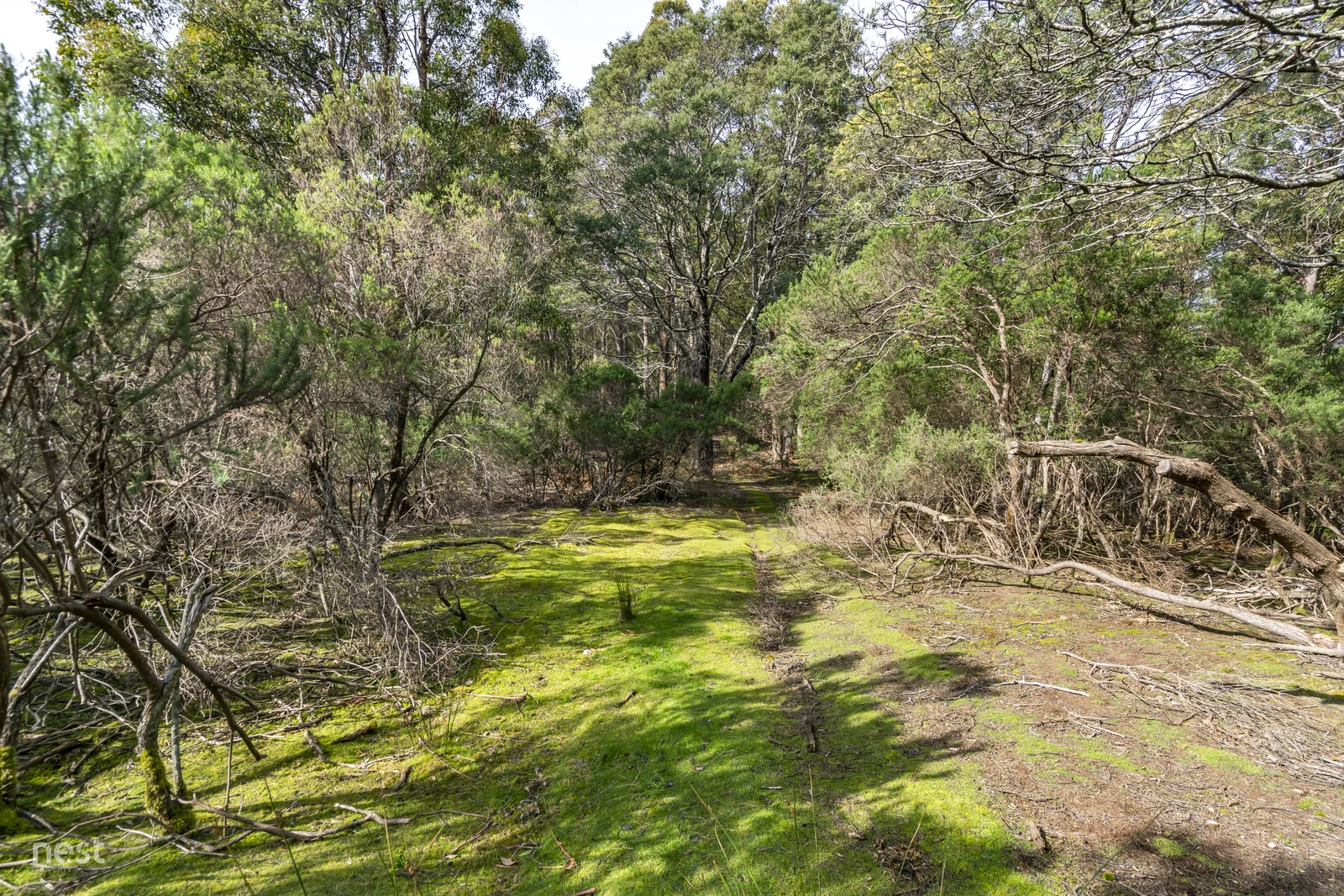 Additional image 14 of 405 Whittons Road, Kettering TAS 7155