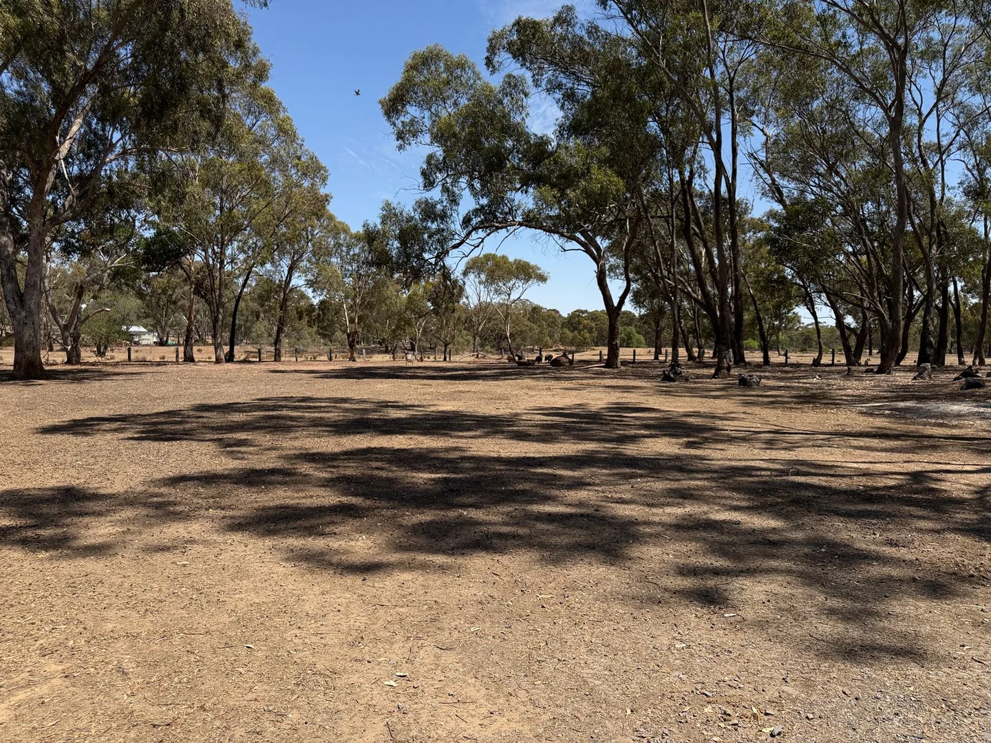 Additional image 22 of 18 Rowes Lane, Bowenvale VIC 3465