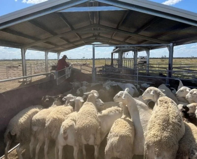 Additional image 18 of 1970 Saltern Creek Road, Barcaldine QLD 4725