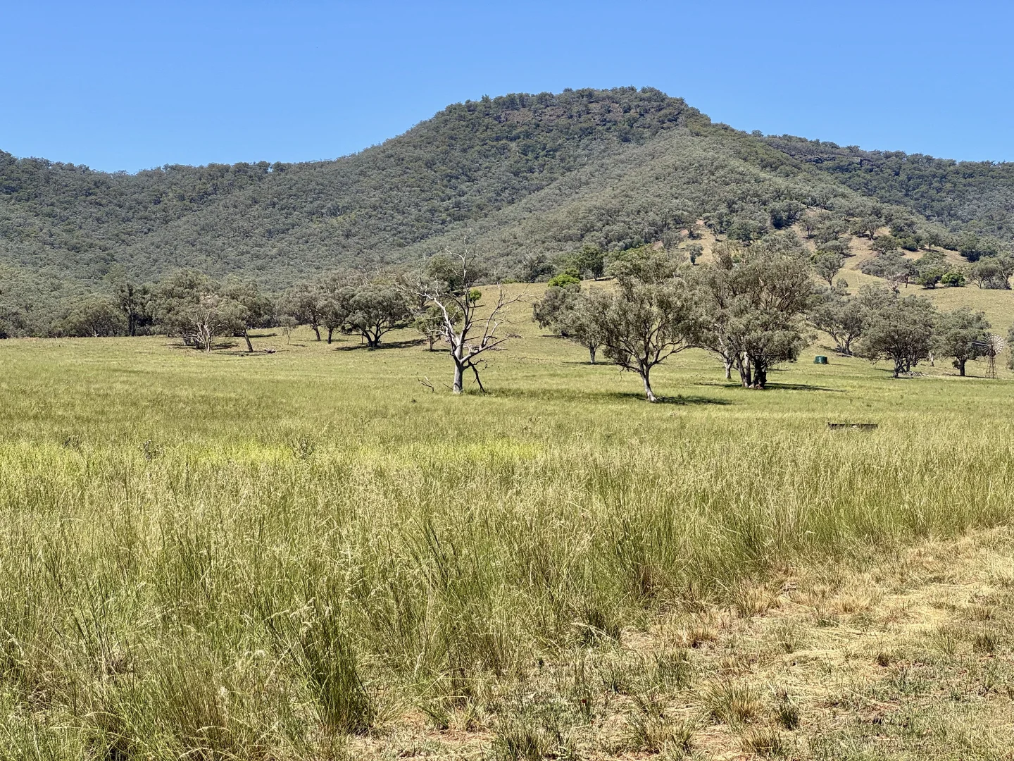 Additional image 28 of "Bindi" 1229 Bundella Creek Road Bundella Via, Quirindi NSW 2343