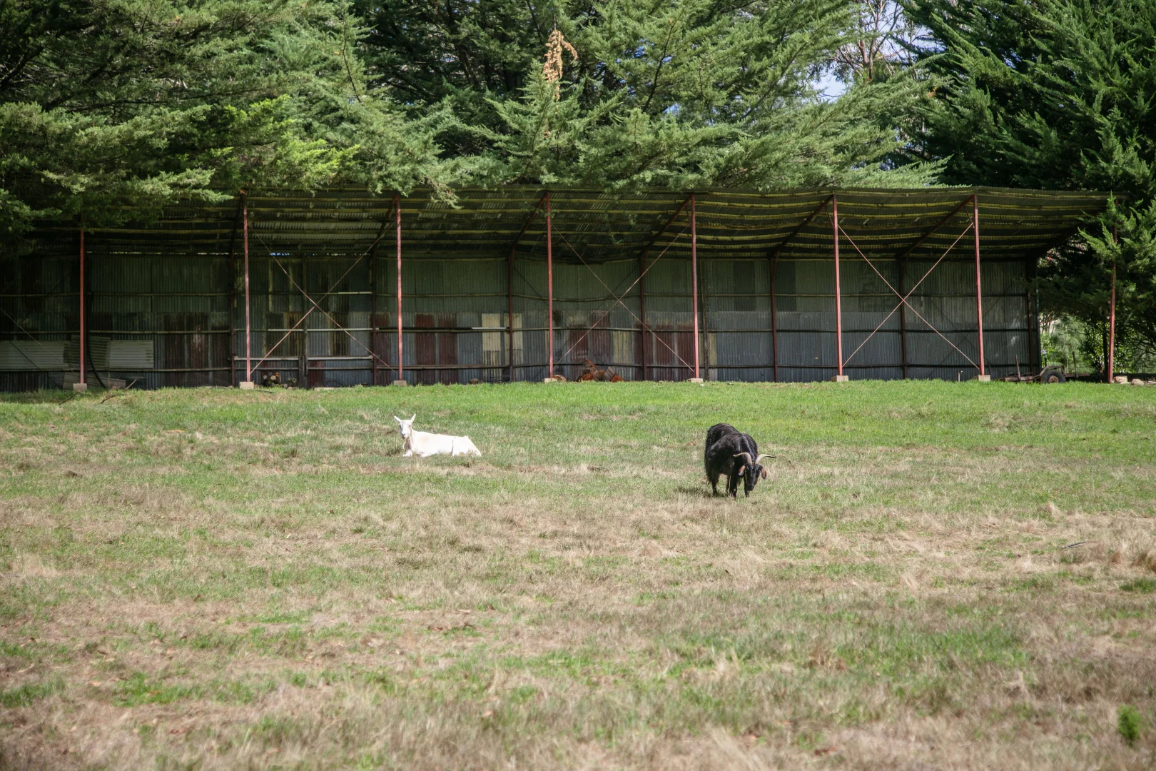 Additional image 27 of 57 Tanahmerah Road, Balhannah SA 5242