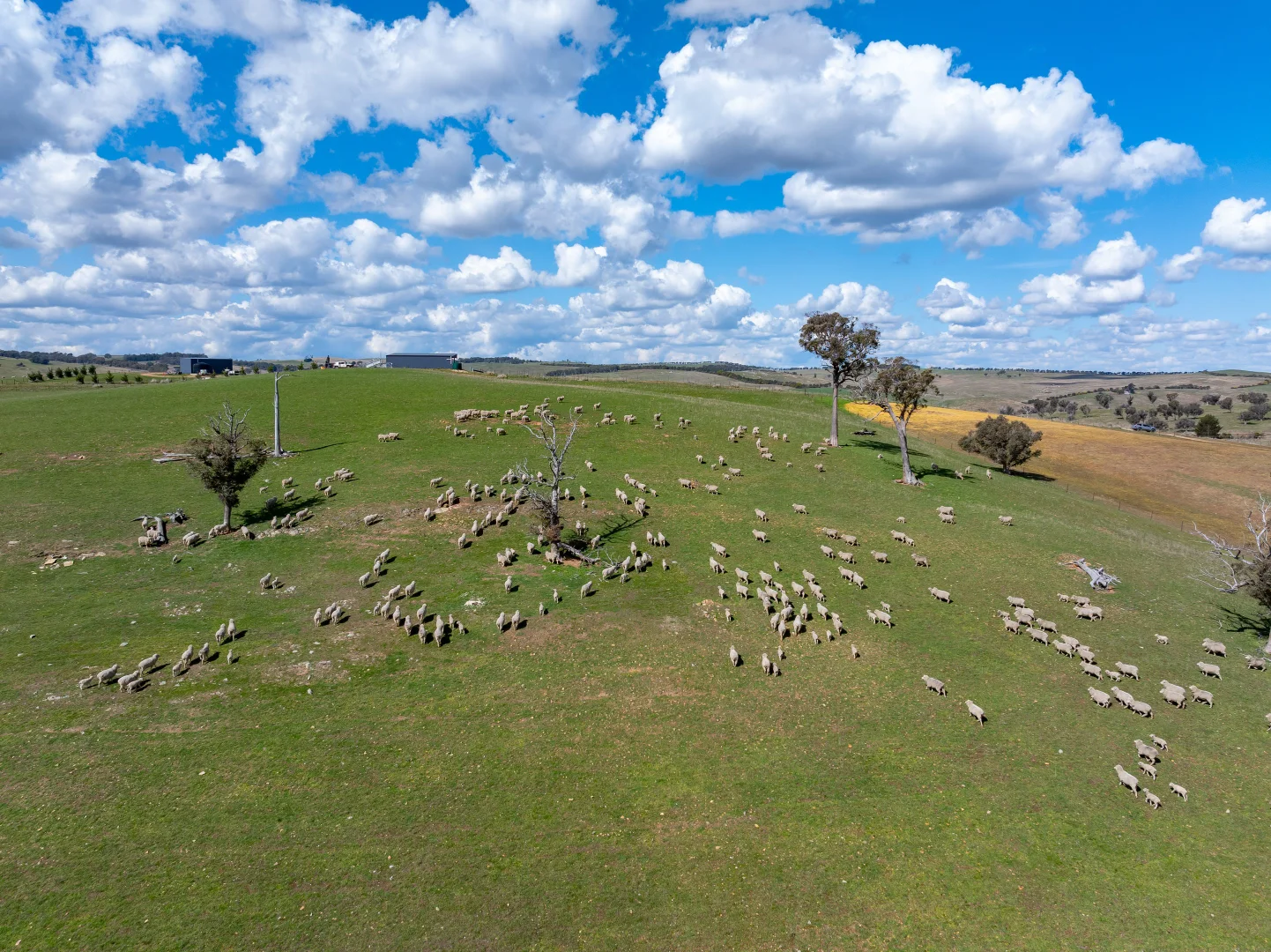 Additional image 28 of 1185 Golspie Road, Golspie NSW 2580