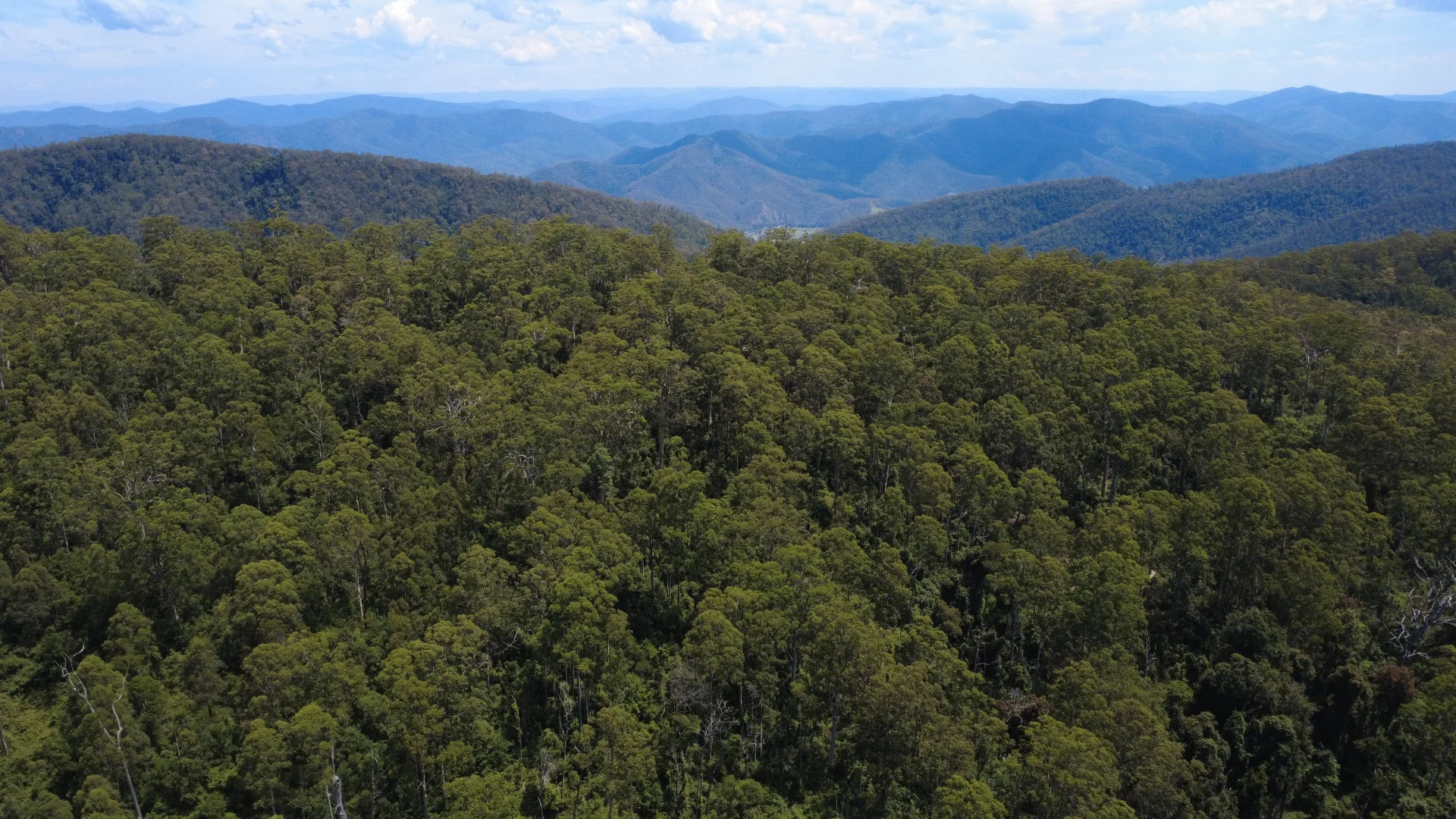 Additional image 26 of Baxters Ridge Road, Gloucester NSW 2422