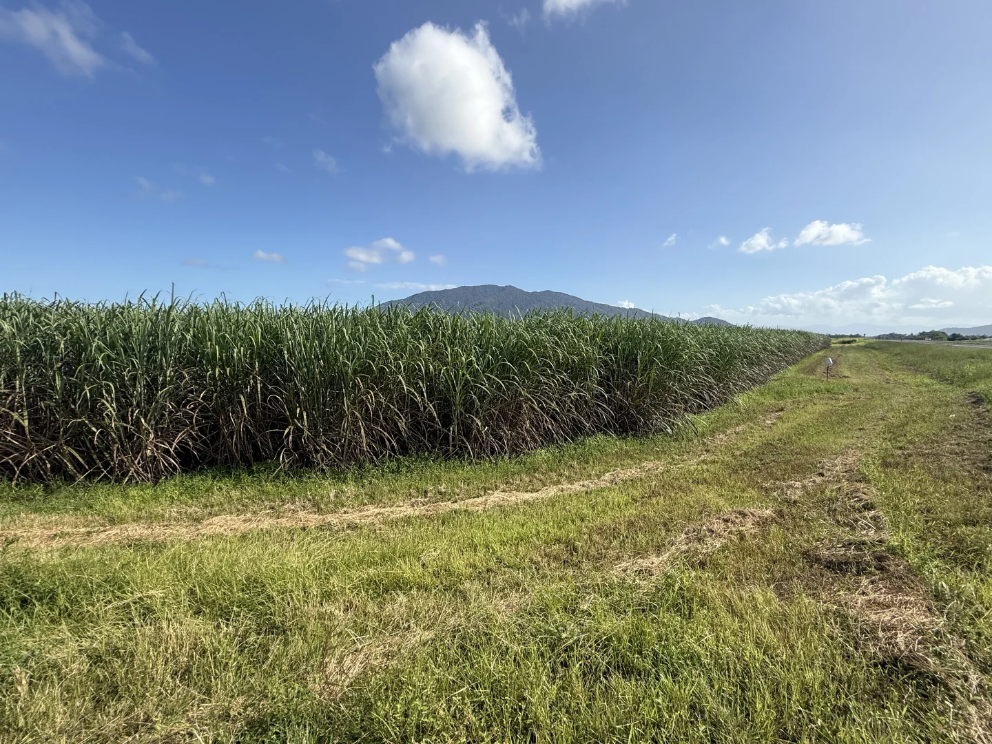 Additional image 15 of Midgenoo QLD 4854