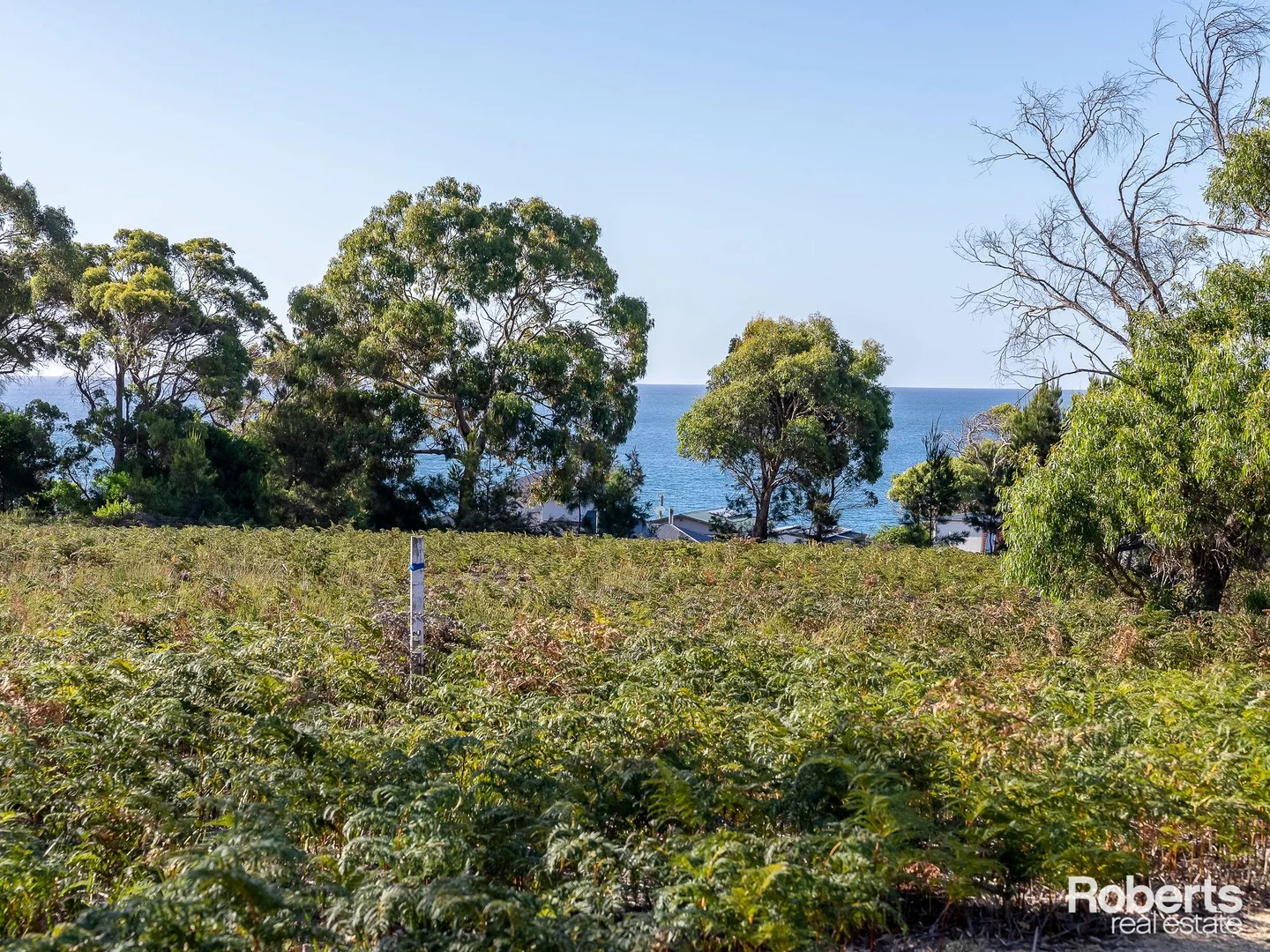 Additional image 20 of Fernlack Road, Greens Beach TAS 7270