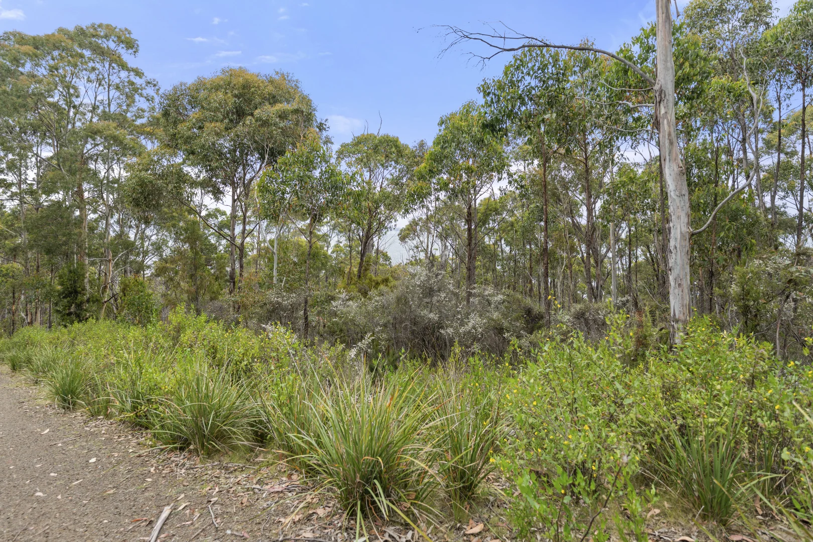 Additional image 15 of 5286 Channel Highway, Gordon TAS 7150