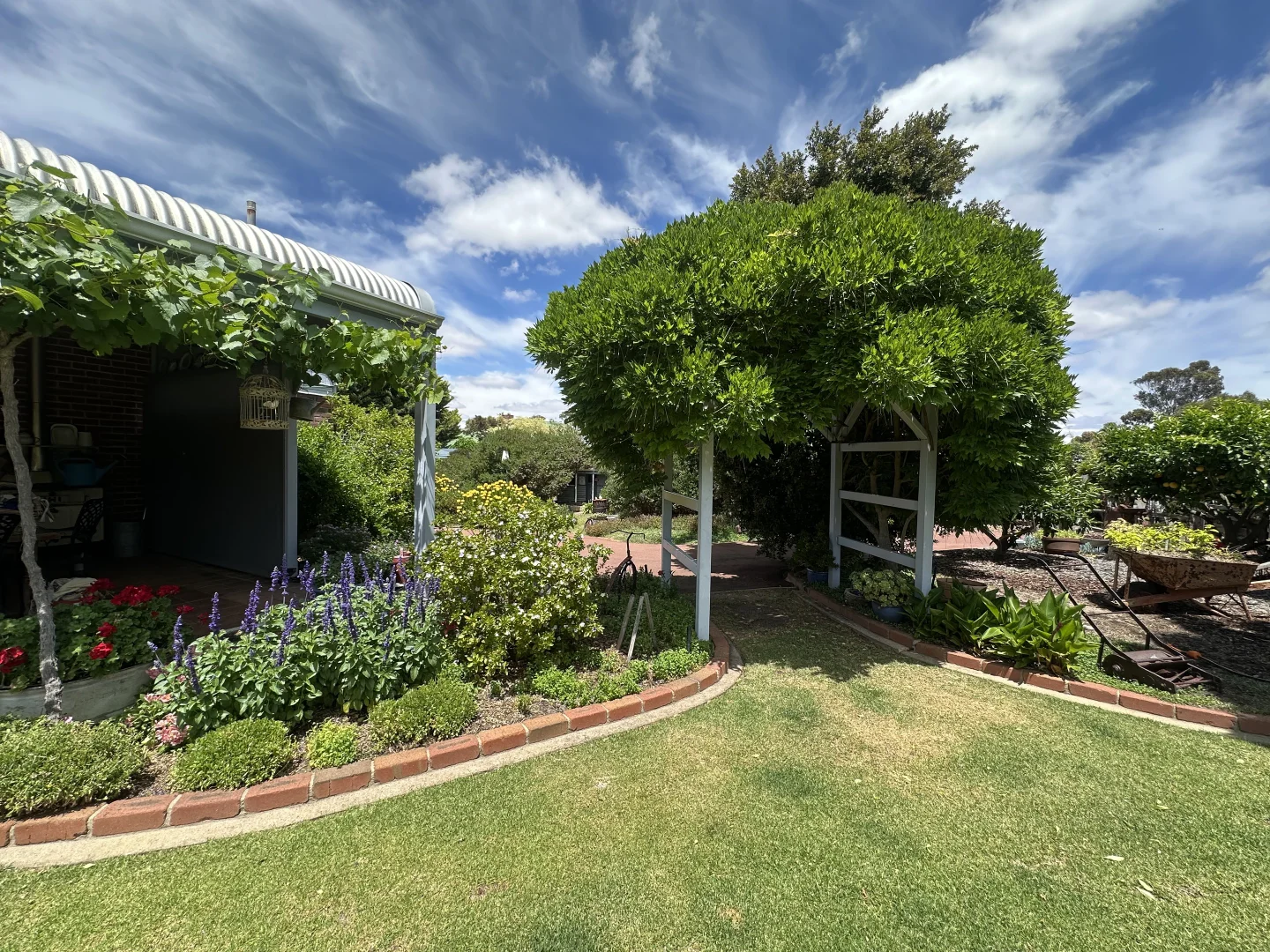 Additional image 8 of 7 Ware Street, Wagin WA 6315