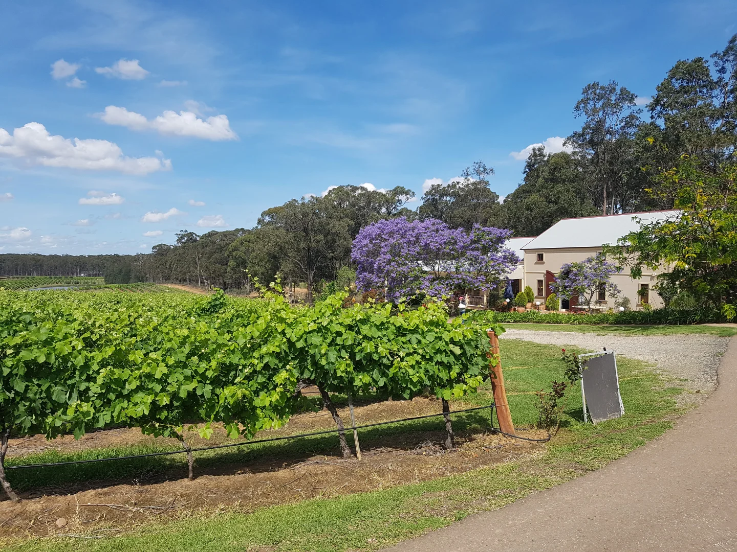 Additional image 7 of 725 Hermitage Road, Pokolbin NSW 2320