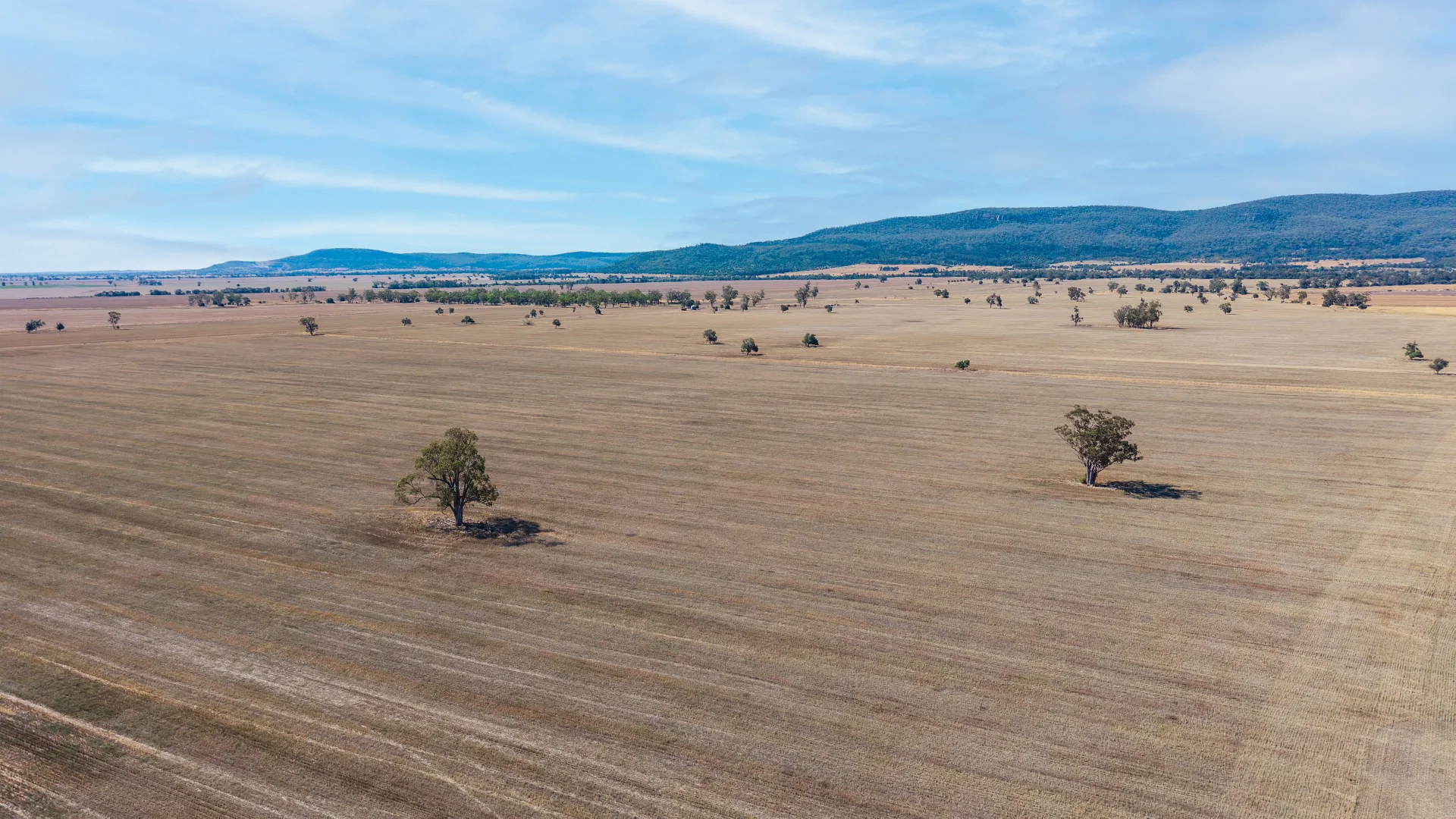 Additional image 8 of "Avoca East" 2293 Maules Creek Road, Narrabri NSW 2390