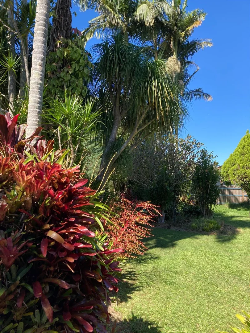 Additional image 24 of 42 Worendo St, Wiangaree NSW 2474