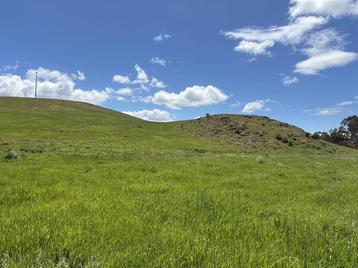 Additional image 17 of 1948 Nareen Road, Nareen VIC 3315