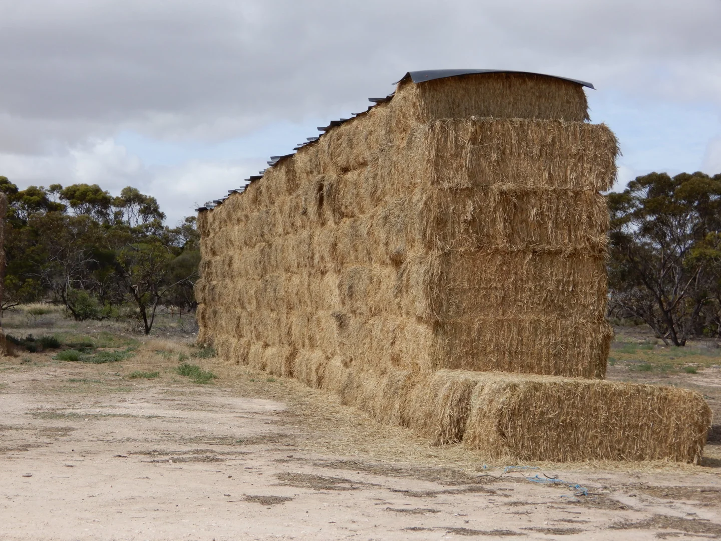 Additional image 17 of 1481 Parrakie North Road, Lameroo SA 5302