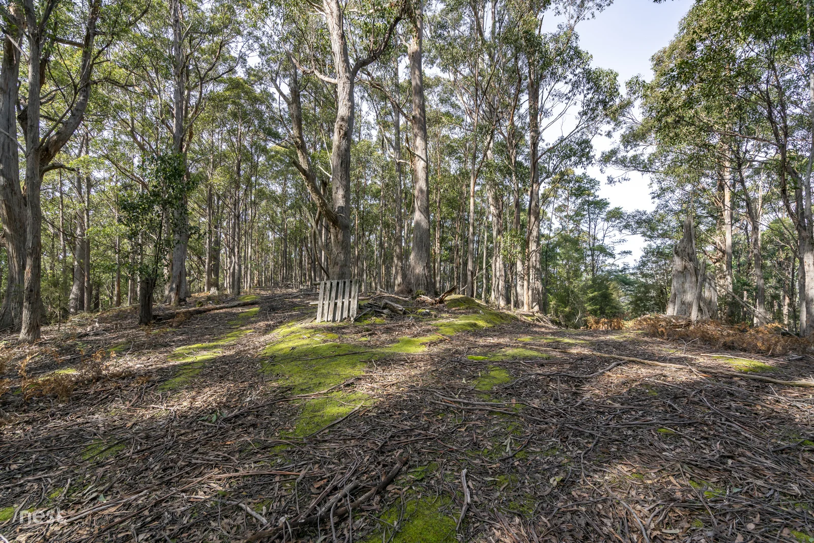 Additional image 13 of 405 Whittons Road, Kettering TAS 7155