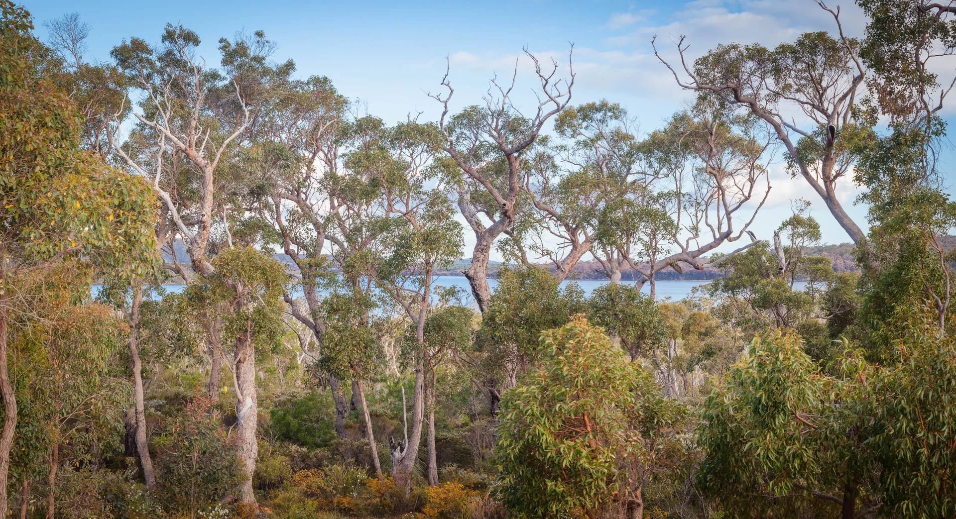 Additional image 43 of 63 karri street, Walpole WA 6398
