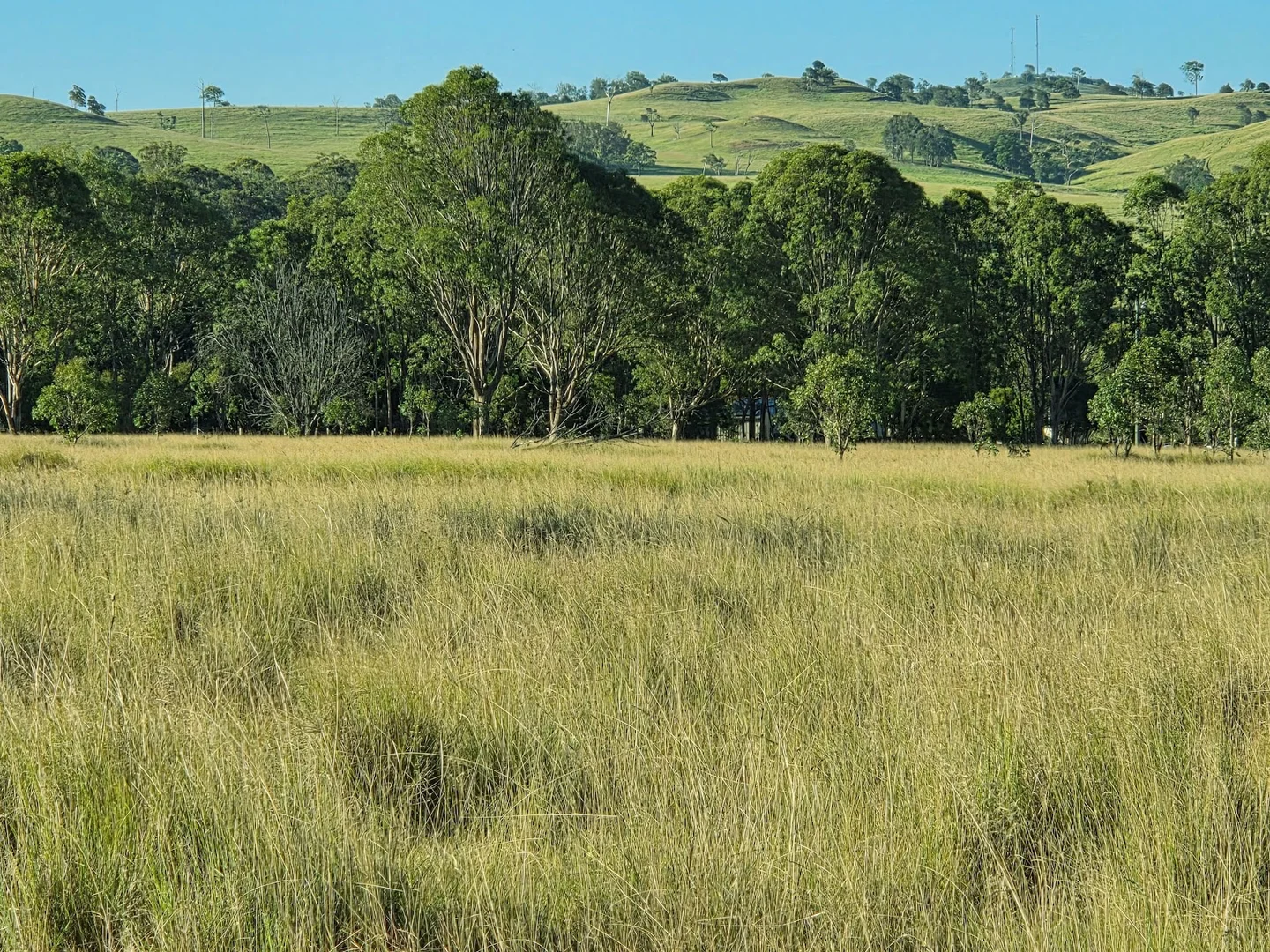 Additional image 19 of Lot 24 Cnr. of the New England Highway & Jacob Road, Crows Nest QLD 4355