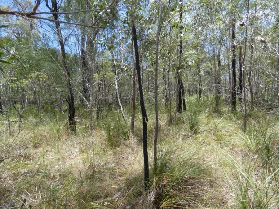 Additional image 13 of 668 Matchbox Road, Deepwater QLD 4674