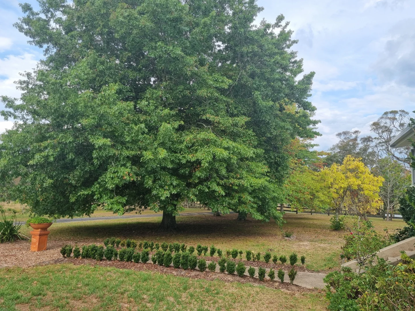 Additional image 25 of 116 Nutshell Road, Tenterfield NSW 2372