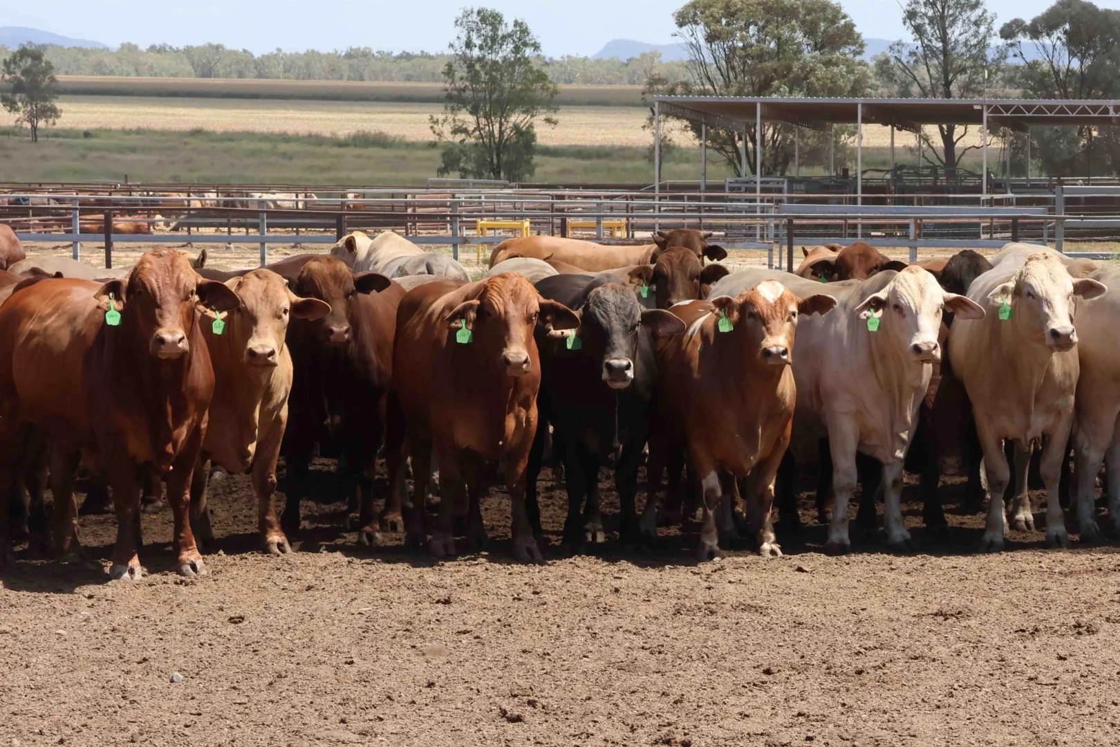 Additional image 8 of Springsure QLD 4722