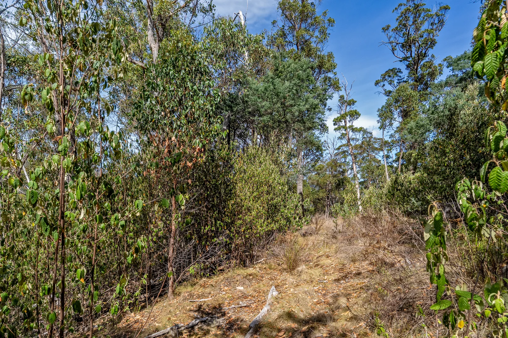 Additional image 39 of 1 Douglas Road, Molesworth TAS 7140