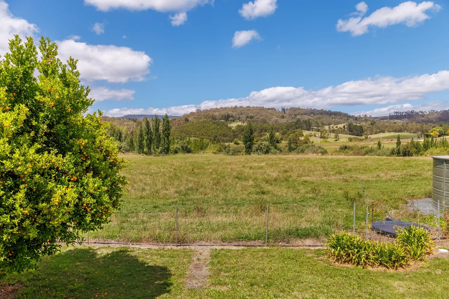 Additional image 27 of 2499 Towamba Road, Towamba NSW 2550