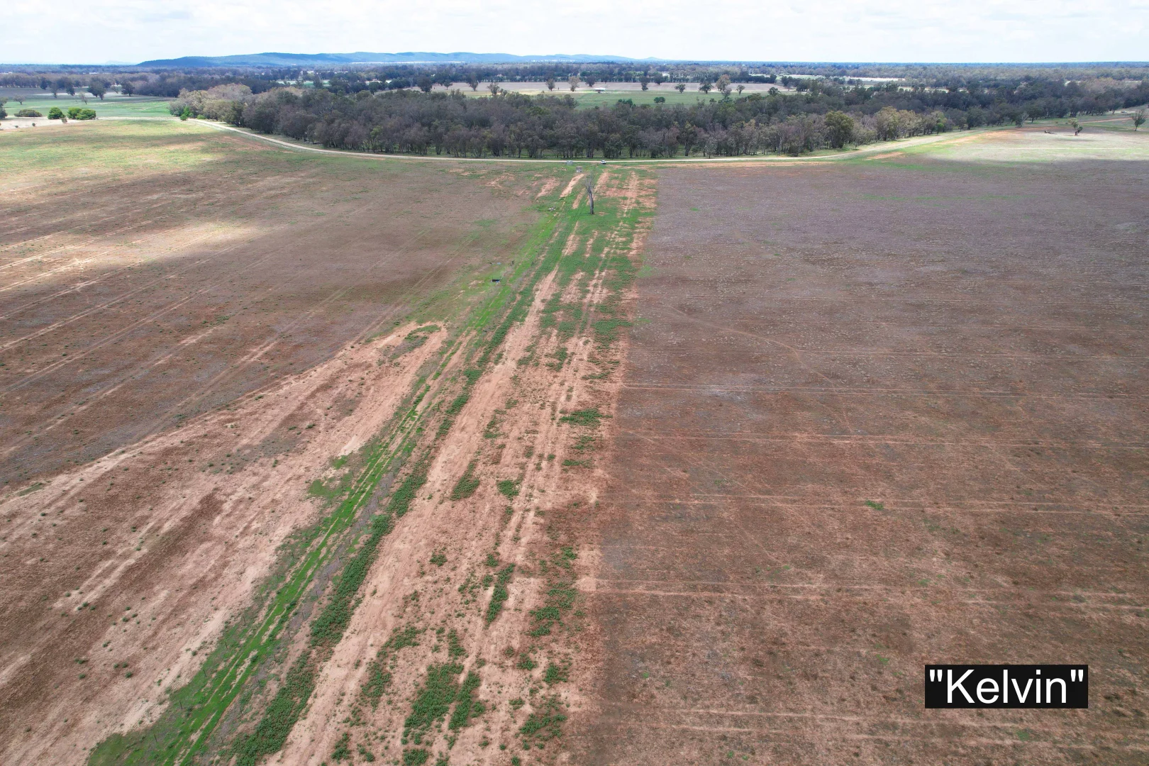 Additional image 8 of 01 Bedgerabong Road, Forbes NSW 2871