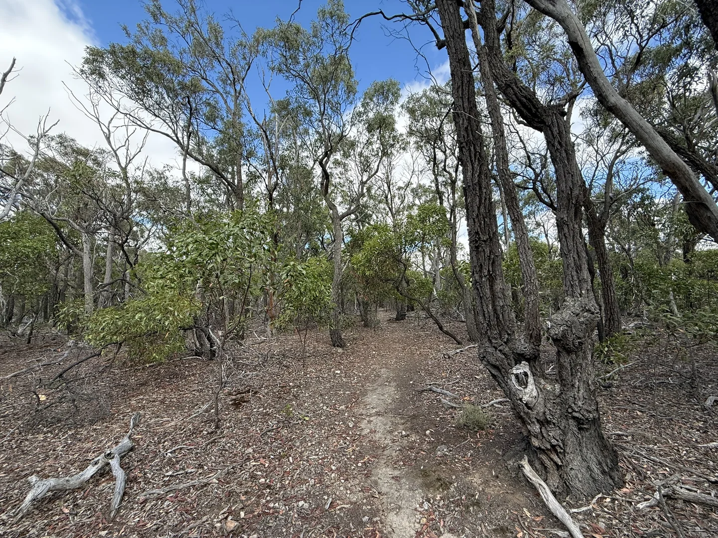 Additional image 11 of Lot 1\TP340748 Ironbark Road, Maddingley VIC 3340