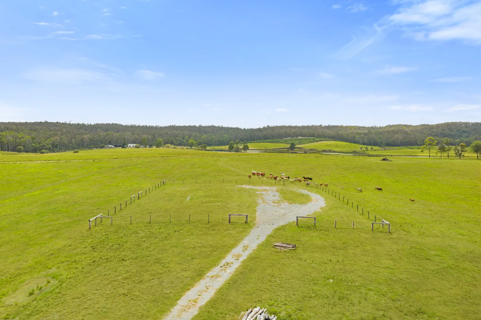 Additional image 11 of 1600 Anderleigh Road, Anderleigh QLD 4570