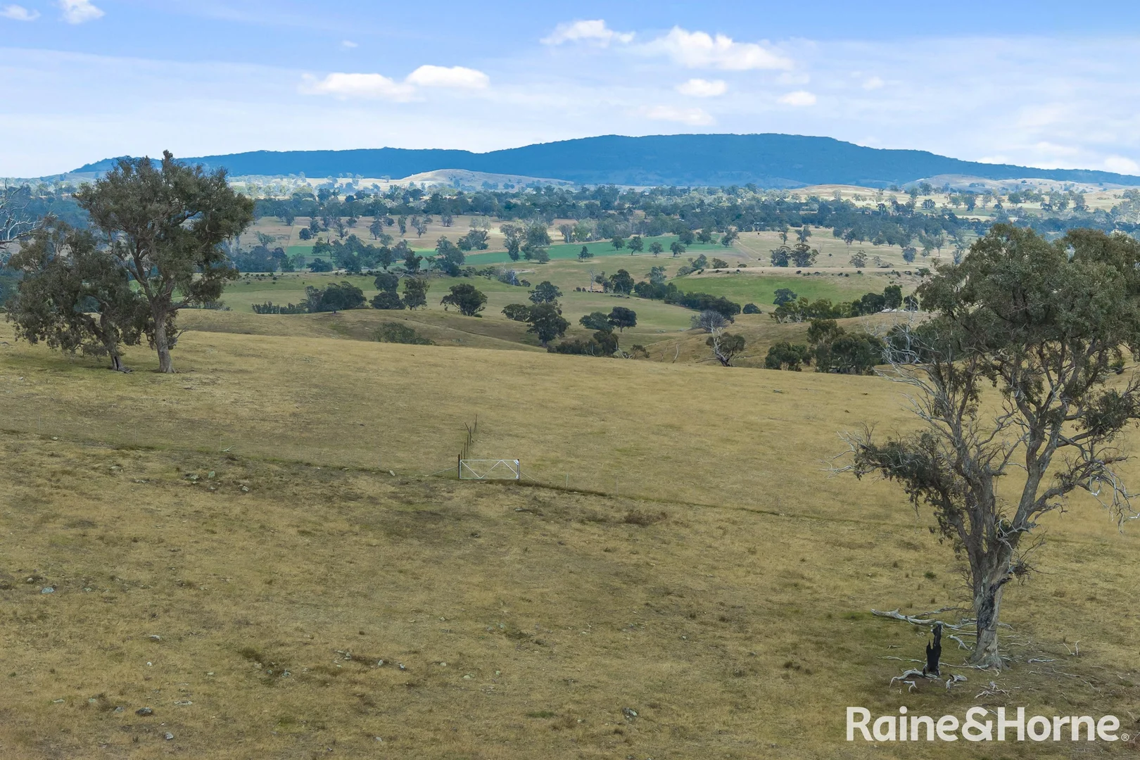 Additional image 19 of 147 Racecourse Road, Redesdale VIC 3444