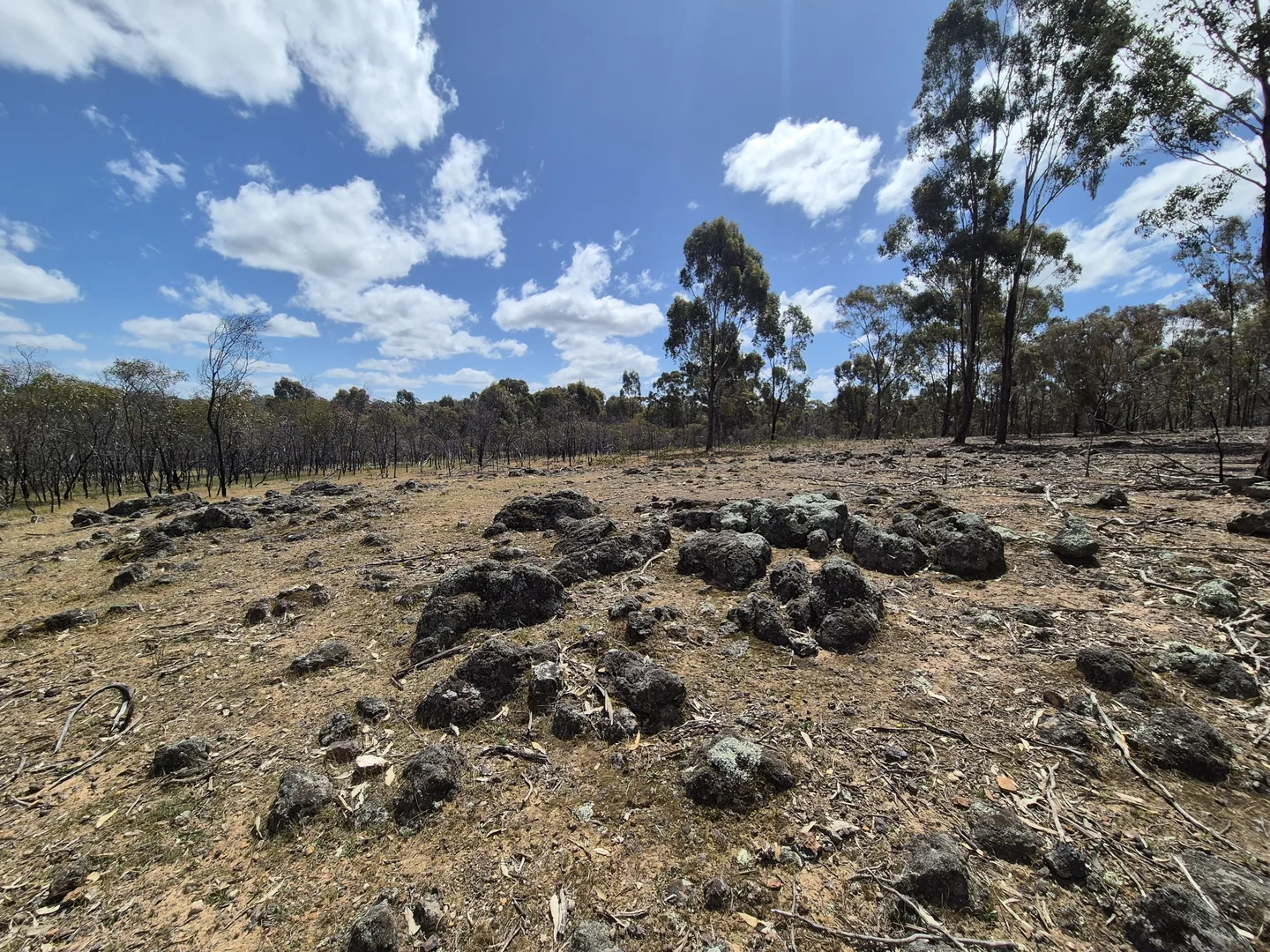 Additional image 9 of Lot 3 Gellibrand Tonks Road, Earlston VIC 3669