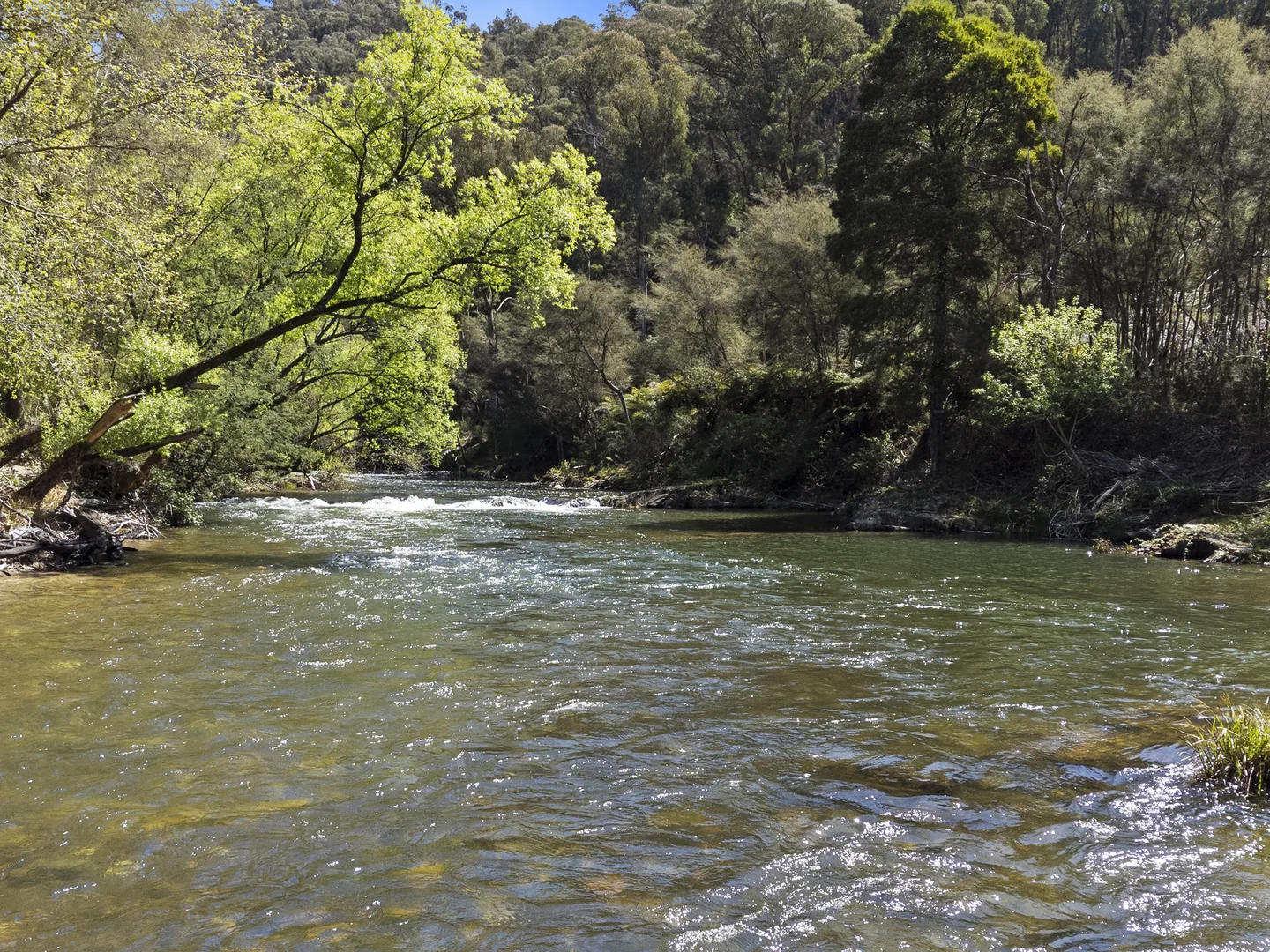 Additional image 20 of 4122 Mansfield-Woods Point Road, Jamieson VIC 3723