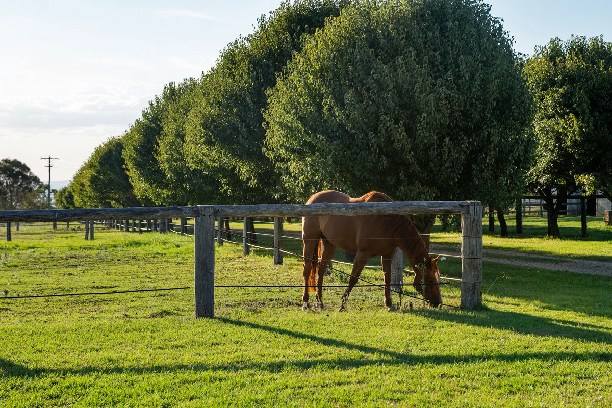 Additional image 3 of 162 Ramsay School Road, Ramsay QLD 4358