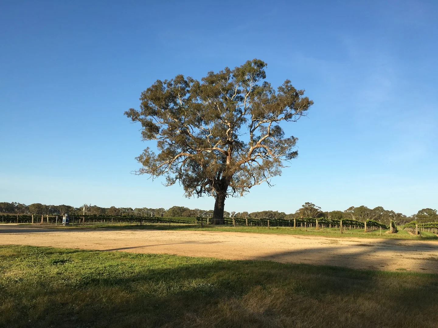 Nolans Road, Hynam SA 5262