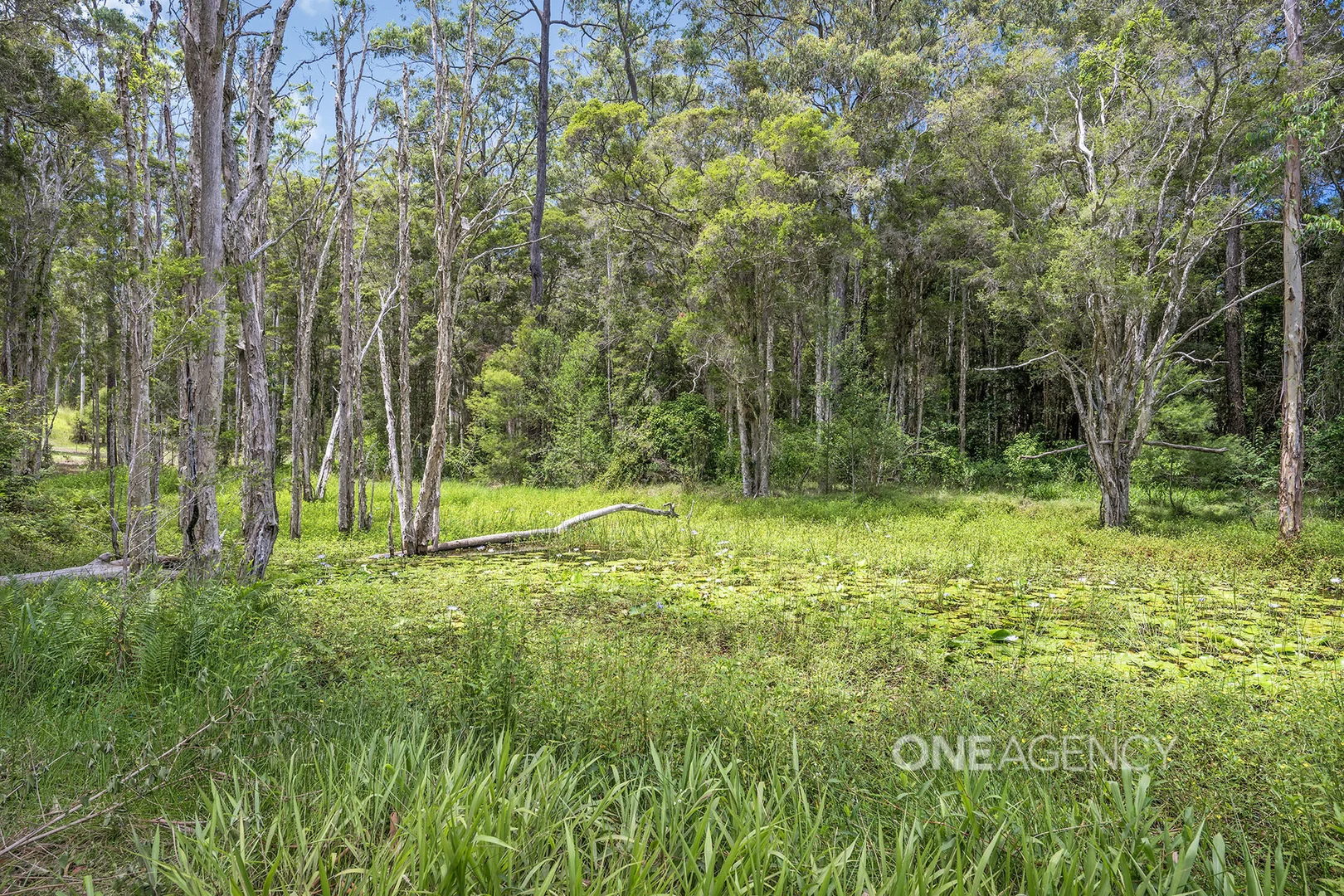 Additional image 23 of 162 Sarahs Crescent, King Creek NSW 2446