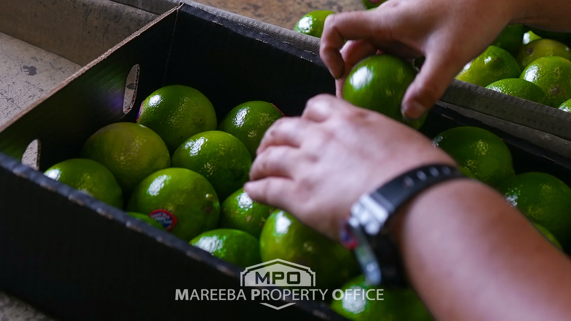 Additional image 19 of 4283 Kennedy Highway, Mareeba QLD 4880