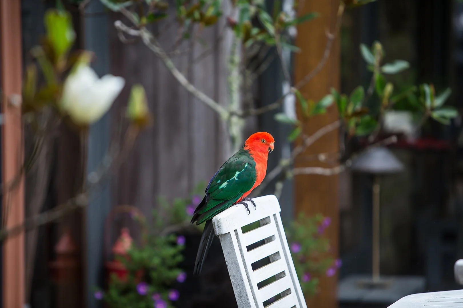 Additional image 15 of 1002 Jamberoo Mountain Road, Jamberoo NSW 2533