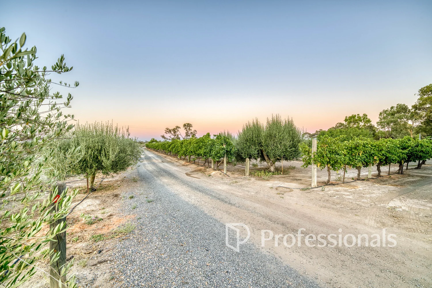 Additional image 25 of 127 Murray Road, Curlwaa NSW 2648