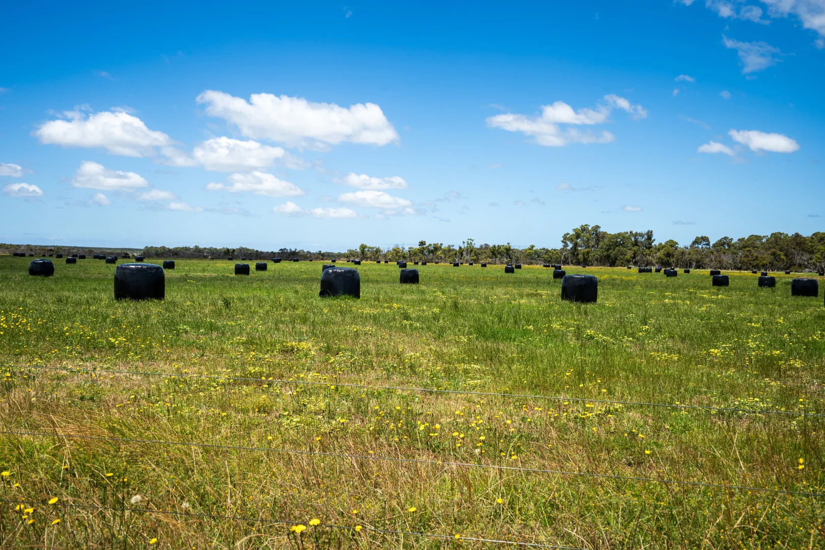 Additional image 12 of Lot 474 Yellanup Road, Narrikup WA 6326