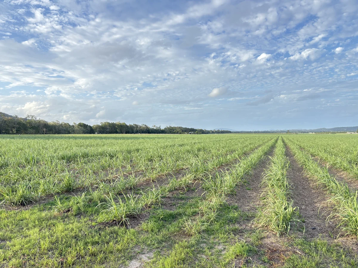 Additional image 5 of 2 Sievers Road, Oakenden QLD 4741