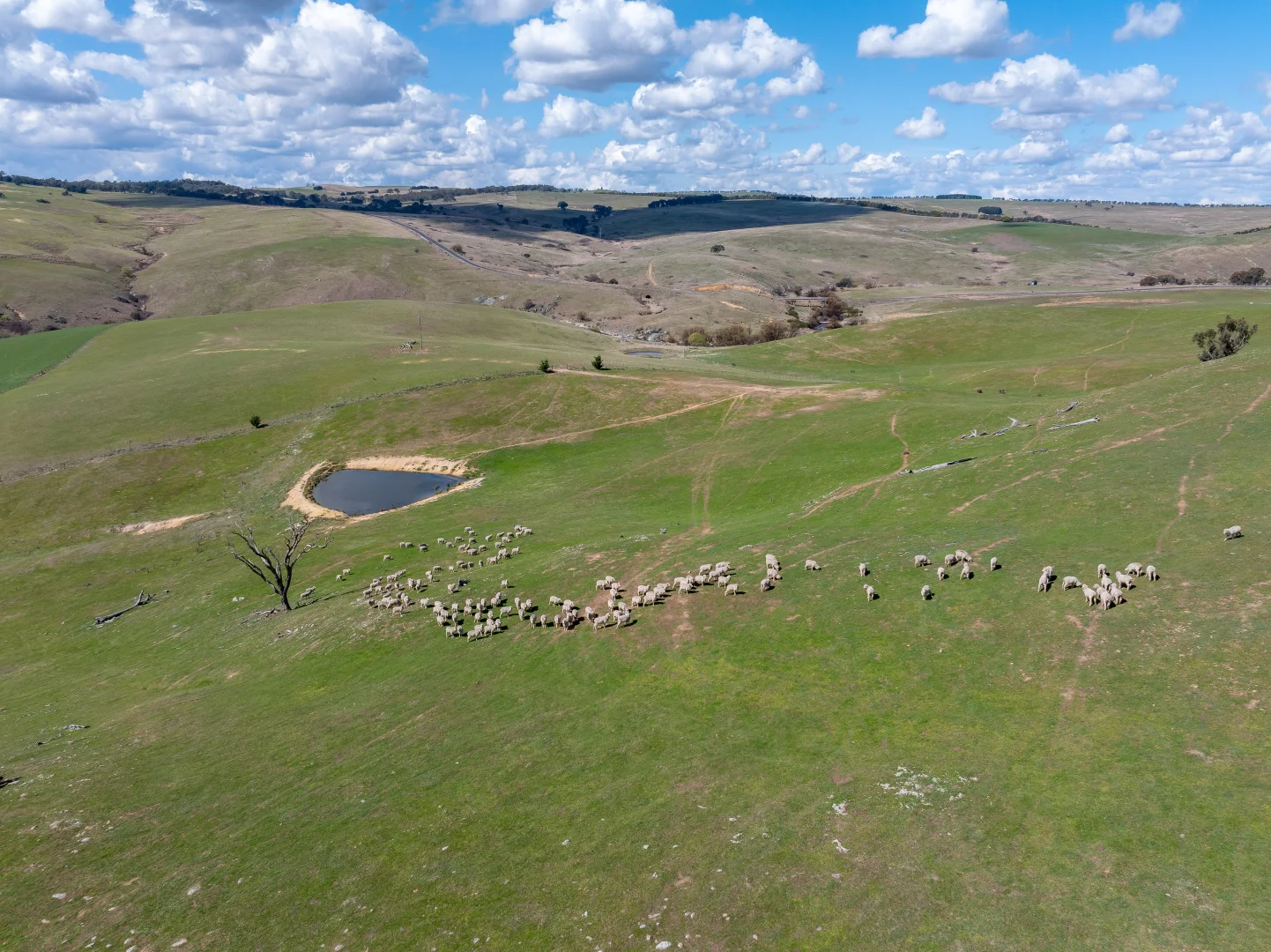 Additional image 18 of 1185 Golspie Road, Golspie NSW 2580