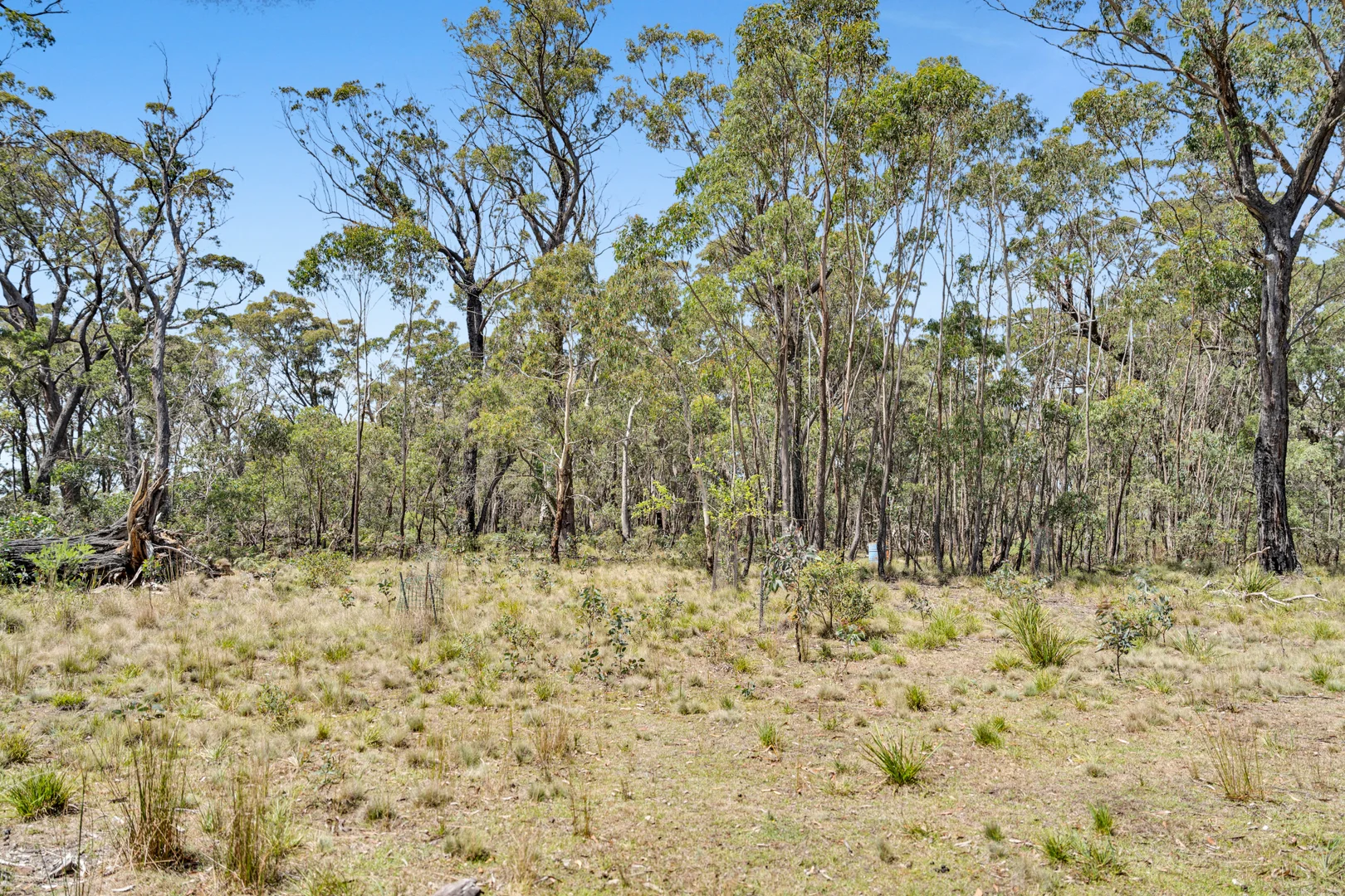 Additional image 13 of 275 Mares Forest Road, Wombeyan Caves NSW 2580