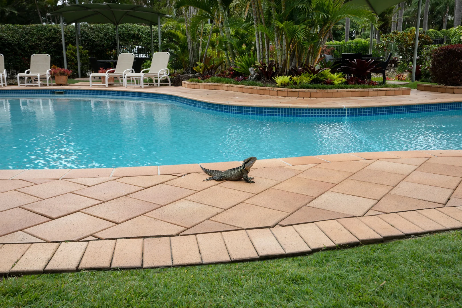 Additional image 26 of 99/8 Admiralty Drive, Surfers Paradise QLD 4217