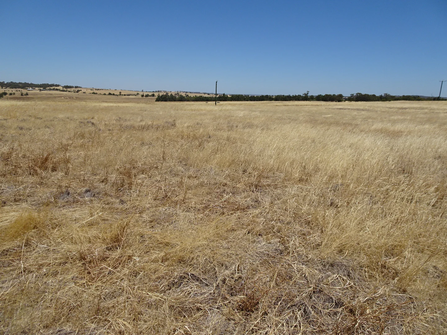 Additional image 3 of 160 Chittleborough Road, Brookton WA 6306
