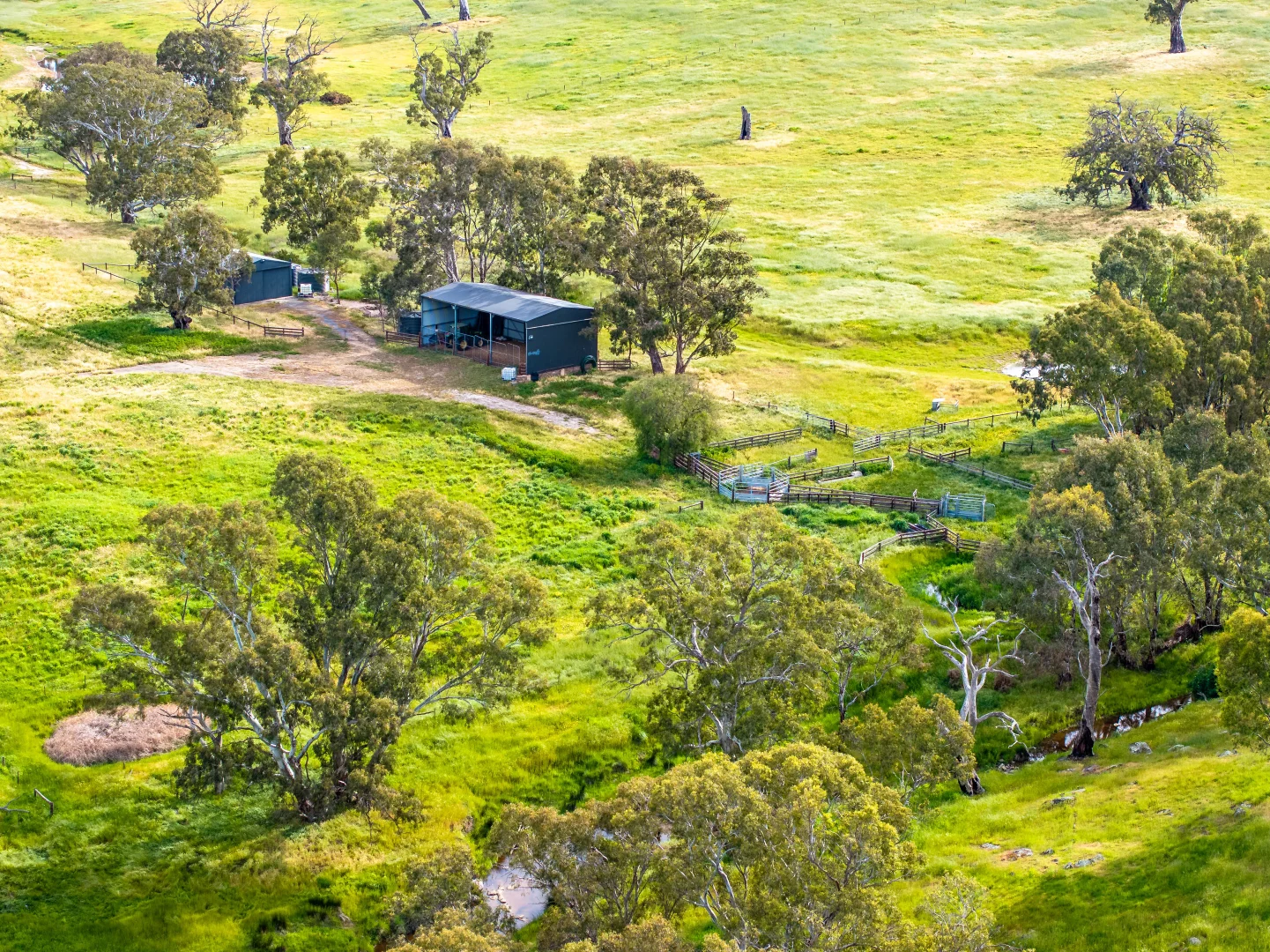 Additional image 3 of 312 Collins Road, Tungkillo SA 5236