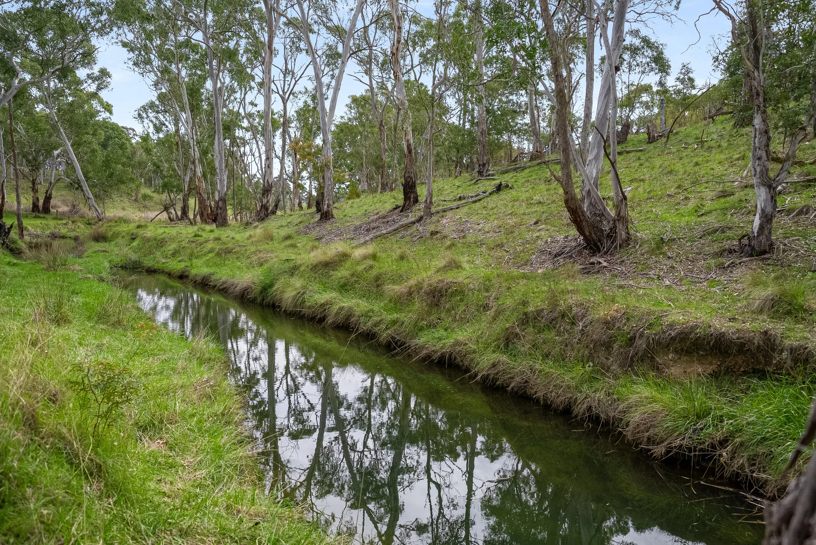 Additional image 2 of 4 Grandview Place, Portland NSW 2847