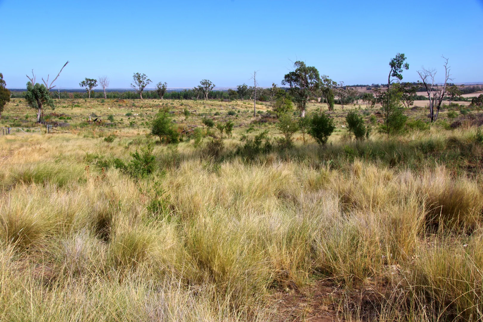 Additional image 40 of 2381. Killarney Gap Road, Narrabri NSW 2390